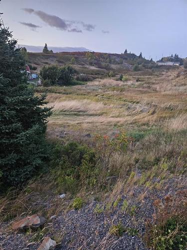 0 Bareneed Road, Bareneed, NL 