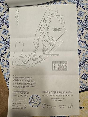 0 Bareneed Road, Bareneed, NL 