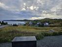 0 Bareneed Road, Bareneed, NL 