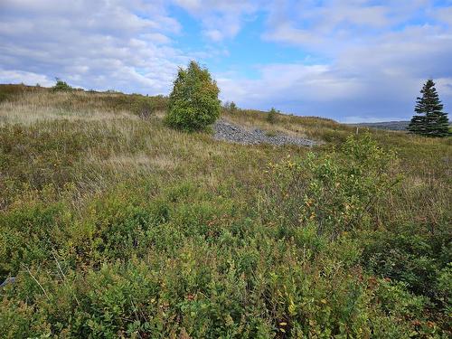 0 Bareneed Road, Bareneed, NL 