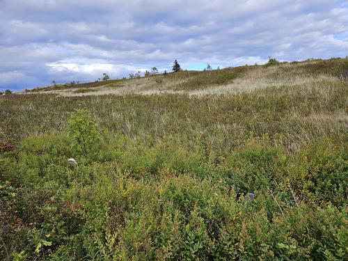 0 Bareneed Road, Bareneed, NL 