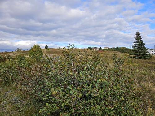 0 Bareneed Road, Bareneed, NL 