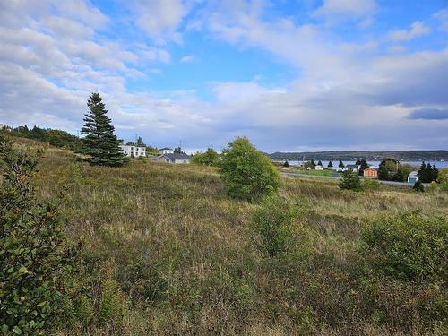 0 Bareneed Road, Bareneed, NL 