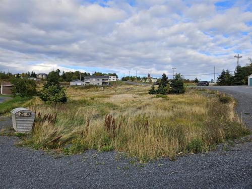 0 Bareneed Road, Bareneed, NL 