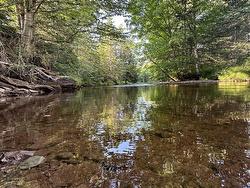 Ripley Road  Williamsdale, NS B0M 1E0