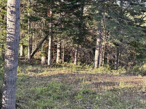 Ripley Road, Williamsdale, NS 