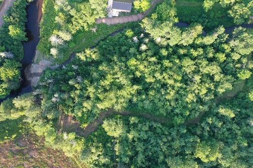 Ripley Road, Williamsdale, NS 