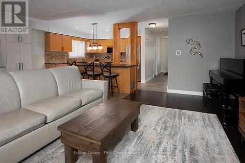 293 Huck Crescent, Kitchener, ON - Indoor Photo Showing Living Room