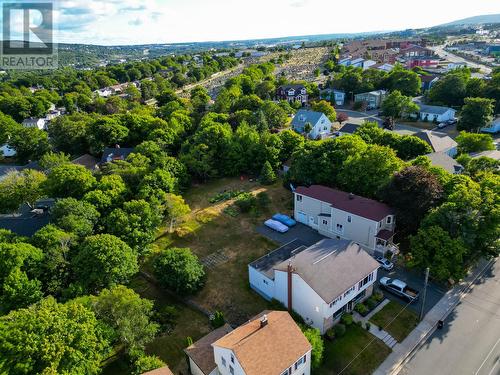 393 Hamilton Ave Extension, St. John'S, NL 