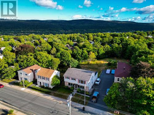 393 Hamilton Ave Extension, St. John'S, NL 