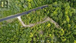 41 NOBLE DRIVE  Northern Bruce Peninsula, ON N0H 1Z0