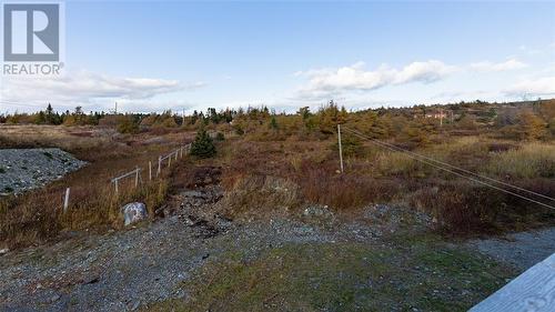 19 Boat Cove Road, Renews, NL - Outdoor With View
