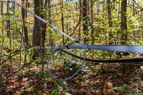 Maple trees tapped - 589108 Grey Road 19, Blue Mountains, ON - Outdoor