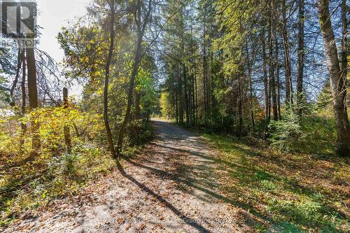 4739 Gelert Road, Minden Hills (Snowdon), ON - Outdoor With View