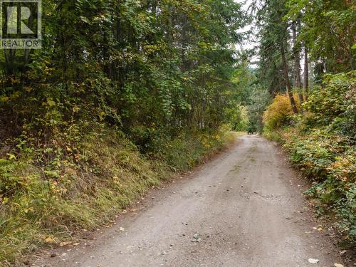 laneway access - 48 Centennial Drive, Blind Bay, BC 