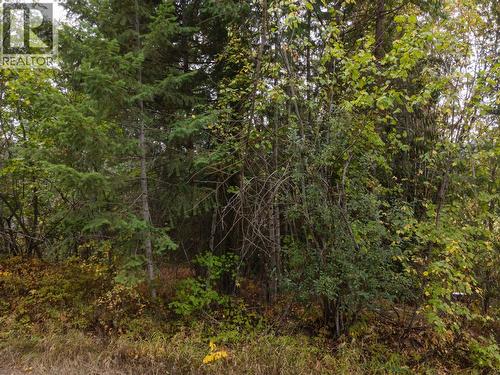 48 Centennial Drive, Blind Bay, BC 