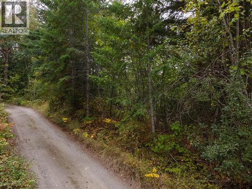 laneway access - 48 Centennial Drive, Blind Bay, BC 