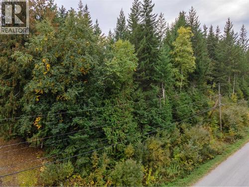 48 Centennial Drive, Blind Bay, BC 