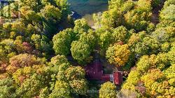 Beautiful Mature Lot - 