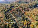 Land/Lot - Ch. De La Paroi, Mont-Tremblant, QC 