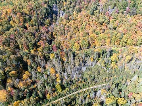 Land/Lot - Ch. De La Paroi, Mont-Tremblant, QC 