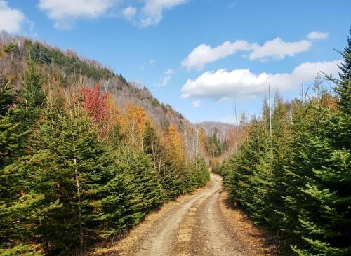 Land/Lot - Ch. De La Paroi, Mont-Tremblant, QC 