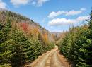 Land/Lot - Ch. De La Paroi, Mont-Tremblant, QC 