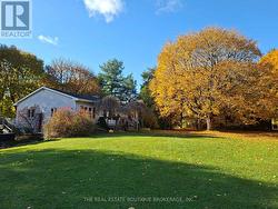 Autumn scenes of the 13.5 acres - 
