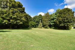 View of Magnificent Well-Maintained Yard - 