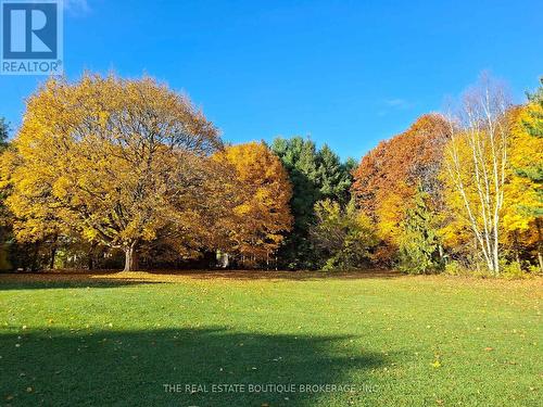 Autumn scenes of the 13.5 acres - 1966 Concession 2 W, Hamilton, ON - Outdoor With View