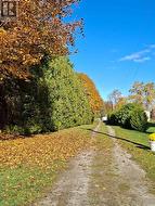 Private Driveway - 
