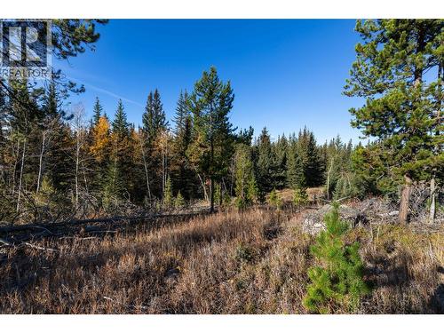 9648 Cariboo Highway 97, Clinton, BC 