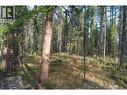 Lot A Bussey Road, Kimberley, BC 