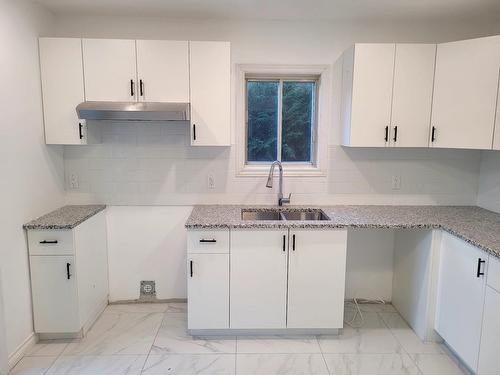 Kitchen - 1945  - 1949 Rue De Beaurivage, Montréal (Mercier/Hochelaga-Maisonneuve), QC - Indoor Photo Showing Kitchen With Double Sink