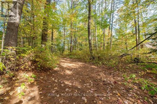 13 Thomson Crescent, Deep River, ON - Outdoor With View