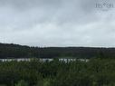Lot 8-10 Crooked Lake Road, Framboise, NS 