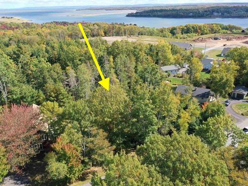 Lot 9 Reade Street, Pictou, NS 