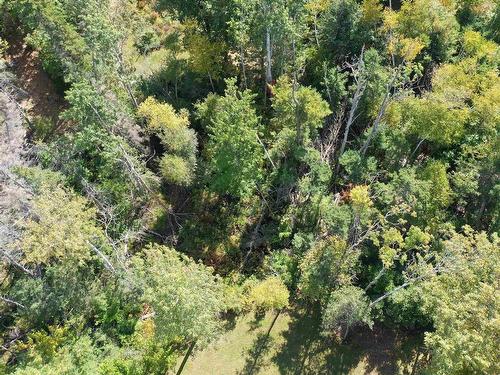 Lot 9 Reade Street, Pictou, NS 