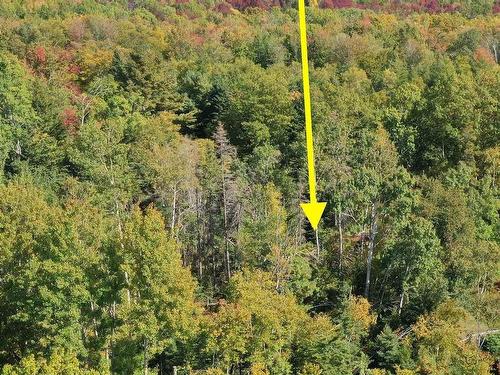 Lot 9 Reade Street, Pictou, NS 