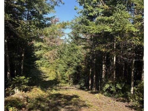 Lot 23 Anderson Drive, Goldenville, NS 