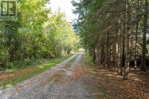 341 County Rd 46, Kawartha Lakes, ON 