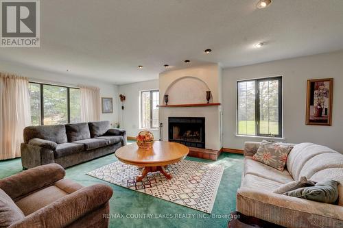 341 County Rd 46, Kawartha Lakes, ON 