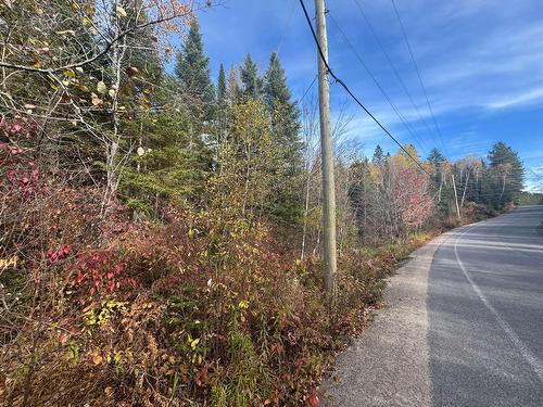 Terre/Terrain - Ch. Du Lac-Baribeau, Saint-Donat, QC 