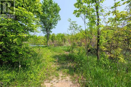 1033 Bruce Road 9, South Bruce Peninsula, ON - Outdoor