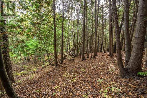 15083 Medway Road, Middlesex Centre, ON - Outdoor