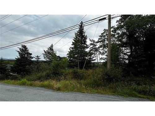 177 Bauline Line, Torbay, NL 