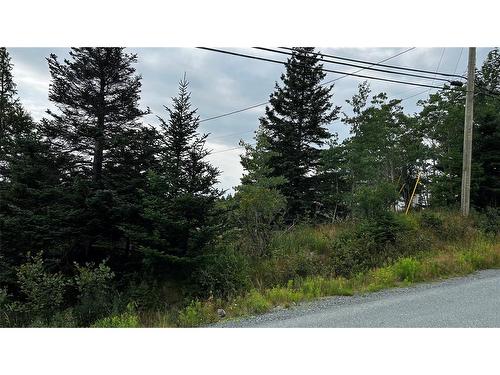 177 Bauline Line, Torbay, NL 