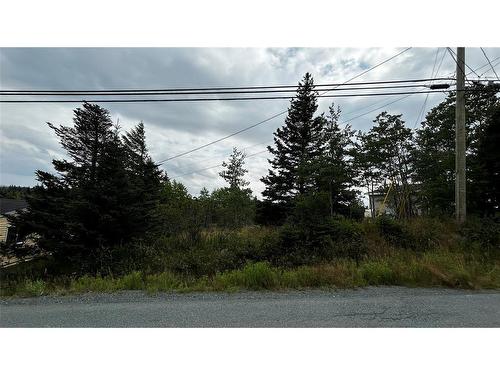 177 Bauline Line, Torbay, NL 