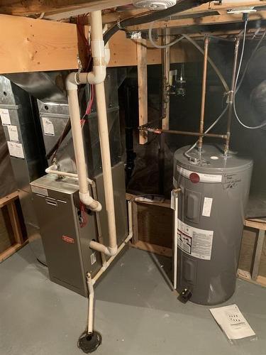 3815 Vanhorne Avenue, Brandon, MB - Indoor Photo Showing Basement