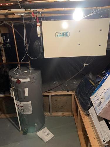 3815 Vanhorne Avenue, Brandon, MB - Indoor Photo Showing Basement